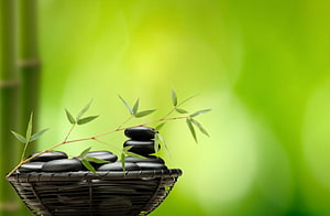 Stacked black zen stones in a woven basket with fresh bamboo sprigs against a soft green background HD wallpaper