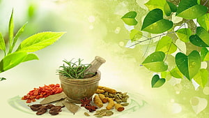 Ayurveda Herbal Medicine with Mortar, Spices, and Fresh Green Leaves HD wallpaper
