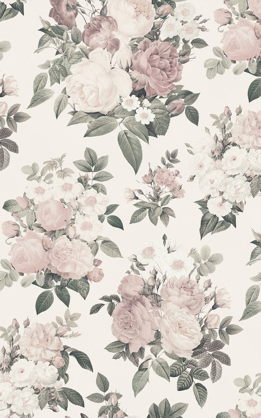 Vintage Cream and Pink Rose Floral Pattern with Botanical Illustration Style HD phone wallpaper