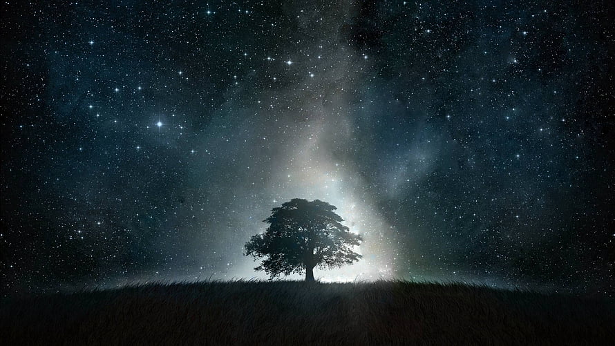 Lone Tree Silhouette Under the Milky Way Galaxy in a Starry Night Sky HD wallpaper