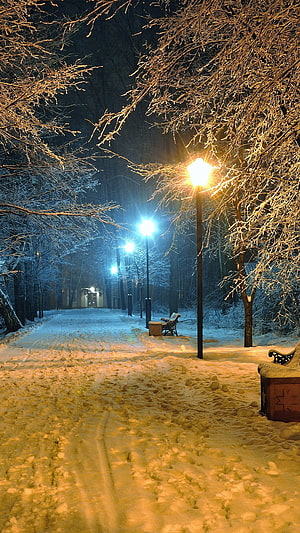 Serene Snowy Park Path at Night with Glowing Street Lamps and Frosted Trees HD phone wallpaper
