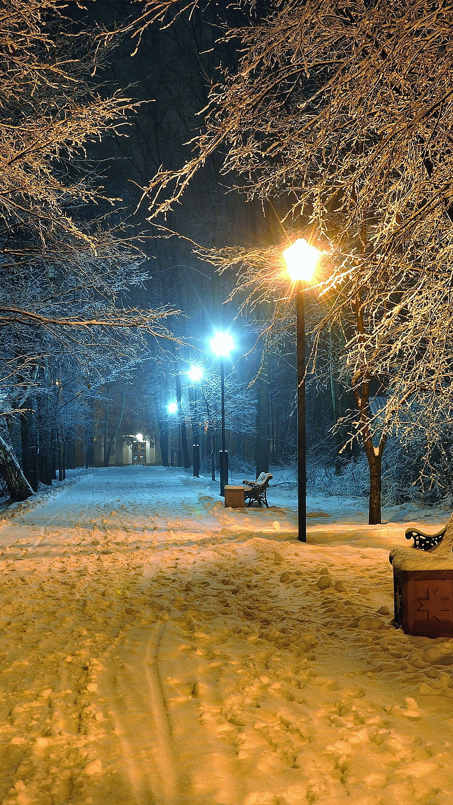 Serene Snowy Park Path at Night with Glowing Street Lamps and Frosted Trees HD phone wallpaper