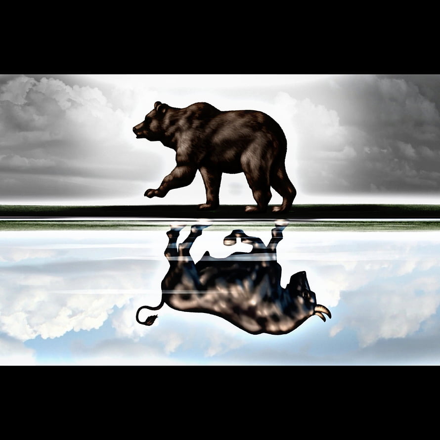 Optical Illusion of a Bear Walking and a Bull Reflection in Water HD phone wallpaper