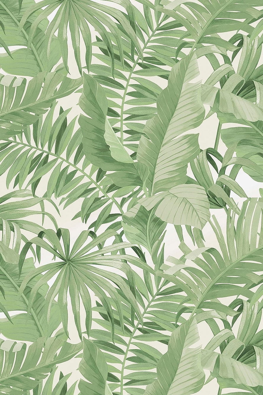 Pastel Mint Green Tropical Palm Leaves Pattern on Cream Background HD phone wallpaper