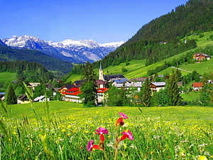 Scenic Alpine Village with Snow-Capped Mountains and Wildflower Meadow HD wallpaper
