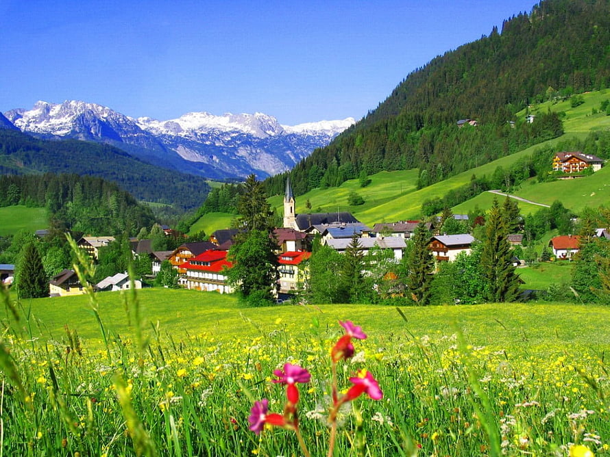 Scenic Alpine Village with Snow-Capped Mountains and Wildflower Meadow HD wallpaper
