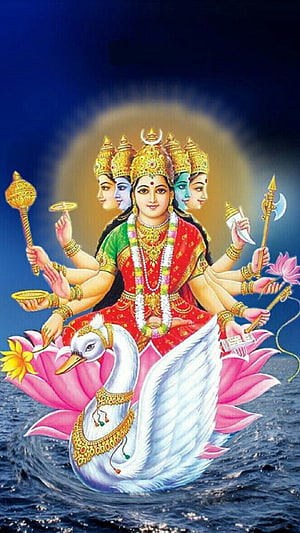 Gayatri Mata Riding a White Swan on a Lotus in Traditional Indian Art HD phone wallpaper