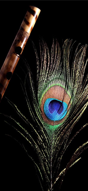 Bamboo Flute and Peacock Feather on Black Background HD phone wallpaper