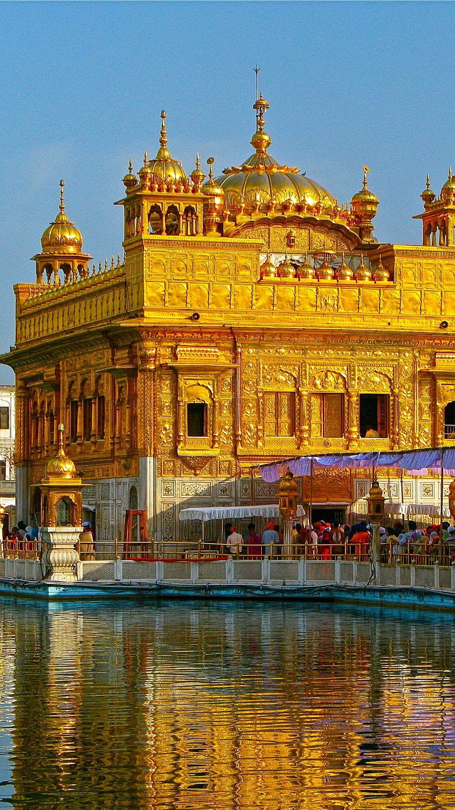Golden Temple Amritsar: Harmandir Sahib Reflection in the Sacred Pool HD phone wallpaper