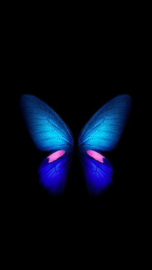 Glowing Blue and Pink Butterfly on Black Background HD phone wallpaper