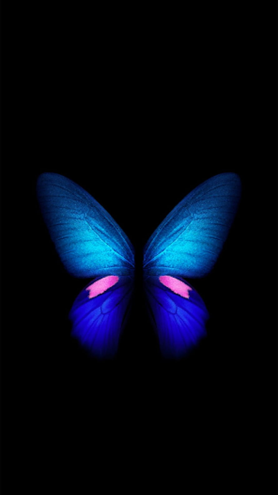 Glowing Blue and Pink Butterfly on Black Background HD phone wallpaper