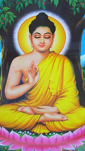 Serene Buddha Sitting in Meditation Under Bodhi Tree with Golden Halo and Pink Lotus HD phone wallpaper