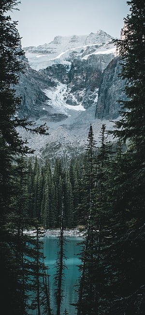 Serene Alpine Lake Surrounded by Pine Forest and Snowy Mountain Peaks HD phone wallpaper