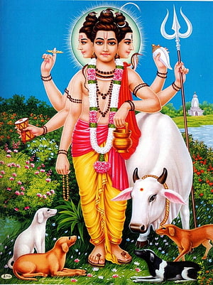 Lord Shiva with Nandi Bull and Dogs in a Lush Garden HD phone wallpaper