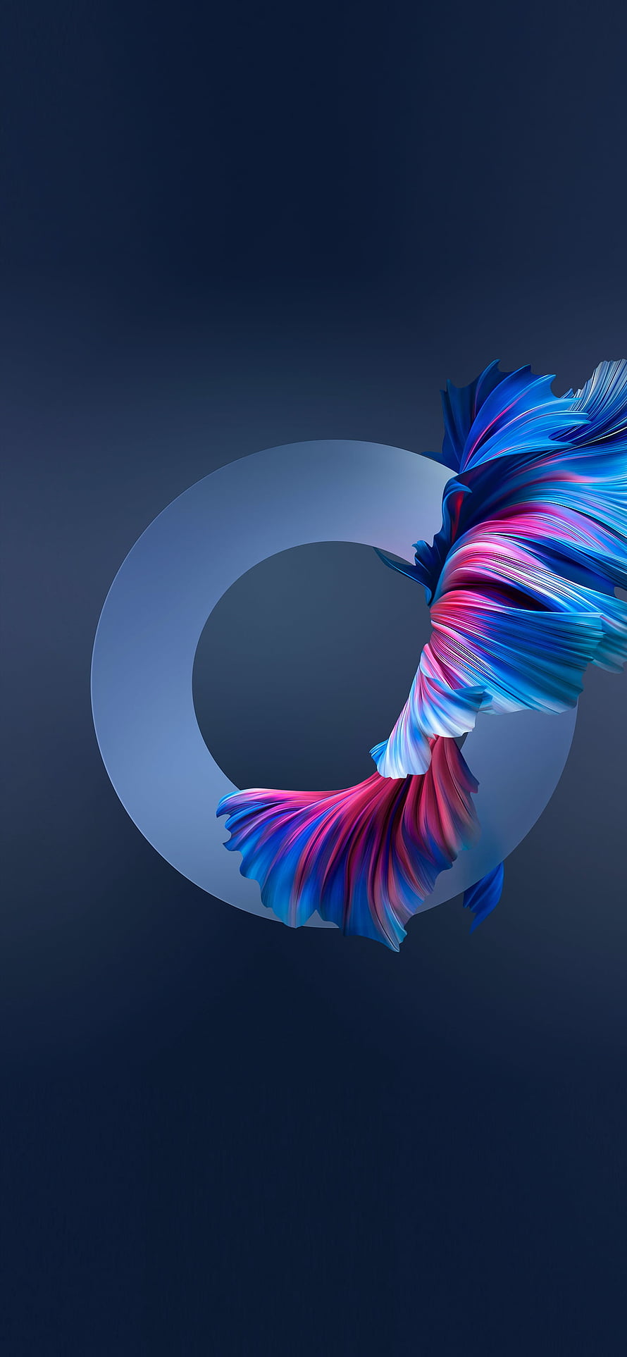OnePlus 12R Official Wallpaper Featuring Abstract Blue and Pink Ribbon Design HD phone wallpaper