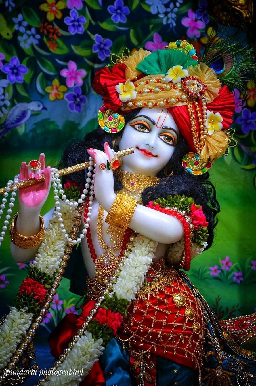 Lord Krishna Playing Flute With Peacock Feather Crown And Floral Garlands HD phone wallpaper
