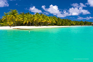 Turquoise Lagoon and White Sand Beach with Lush Palm Trees in the Maldives HD wallpaper