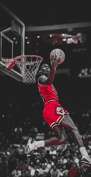 Michael Jordan Chicago Bulls Slam Dunk Action Shot HD phone wallpaper