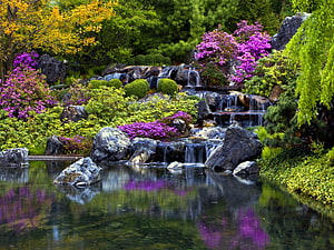 Serene Garden Waterfall with Vibrant Purple Azaleas and Lush Greenery HD wallpaper