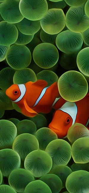Vibrant Orange Clownfish Swimming Among Green Sea Anemone Tentacles HD phone wallpaper