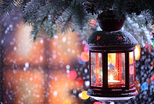 Snowy Christmas Lantern with Candlelight Hanging from Pine Branch HD wallpaper