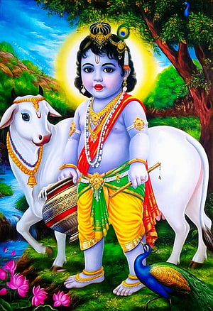 Baby Krishna Playing Drum With White Cow And Peacock In Lush Green Forest HD phone wallpaper