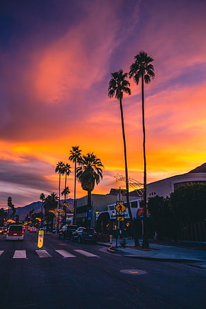 Vibrant Sunset Over Palm Trees and City Street in California HD phone wallpaper