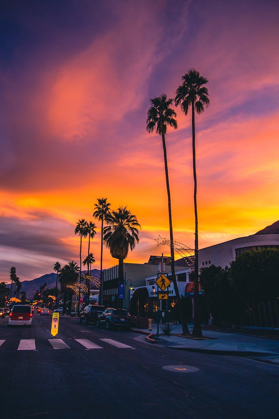 Vibrant Sunset Over Palm Trees and City Street in California HD phone wallpaper