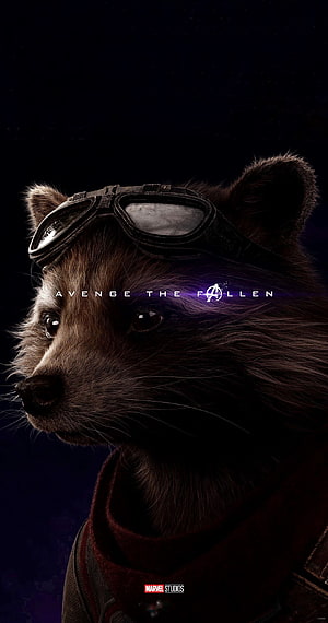 Rocket Raccoon in Goggles from Marvel Studios Avengers Endgame Cinematic Poster HD phone wallpaper