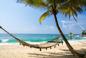 Relaxing tropical beach scene with a hammock strung between palm trees and turquoise ocean waves HD wallpaper
