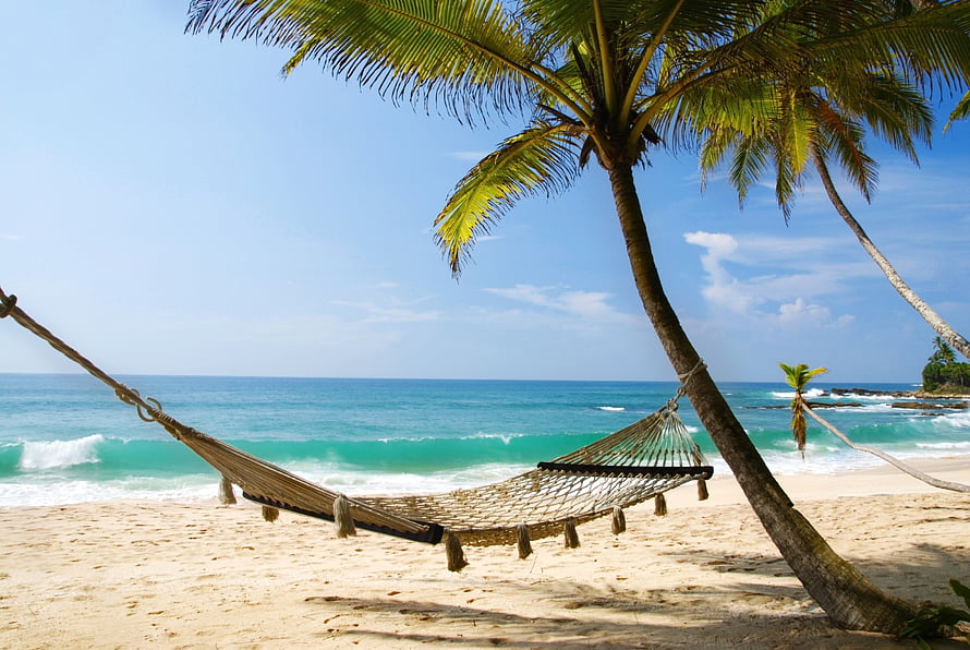 Relaxing tropical beach scene with a hammock strung between palm trees and turquoise ocean waves HD wallpaper