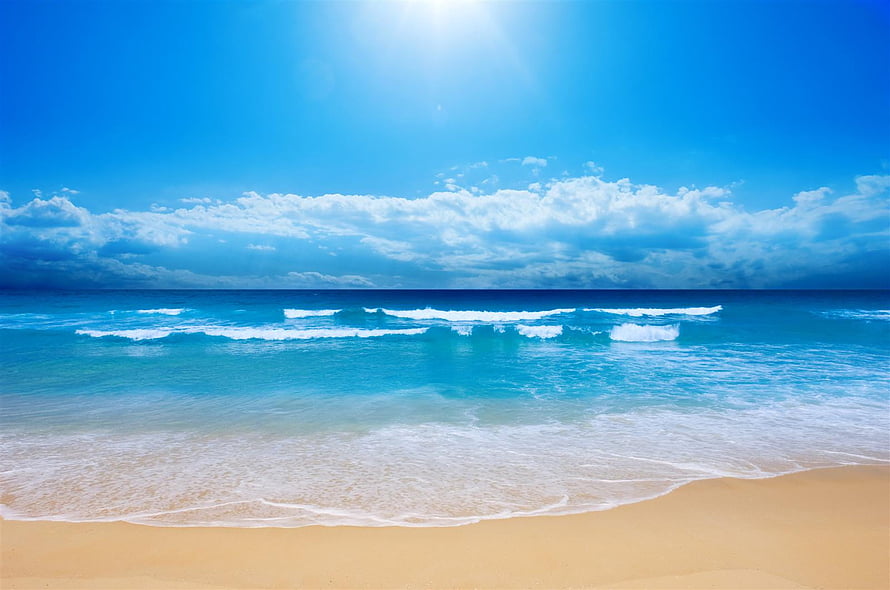 Sunny Tropical Beach with Turquoise Ocean Waves and Golden Sand Under a Bright Blue Sky HD wallpaper