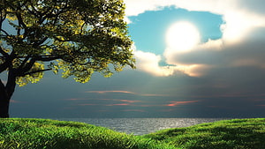 Serene Landscape With Large Tree Overlooking Calm Ocean Under Bright Sun HD wallpaper