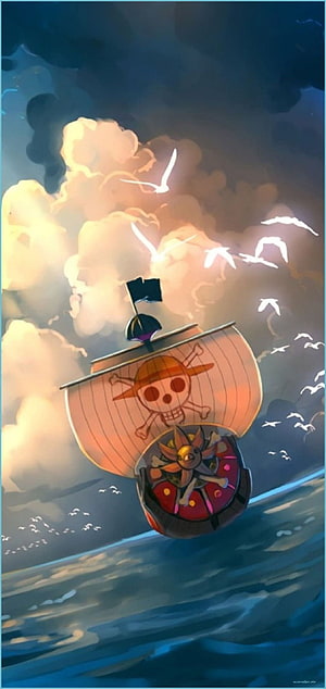 One Piece Thousand Sunny sailing through dramatic sunset clouds with seagulls HD phone wallpaper