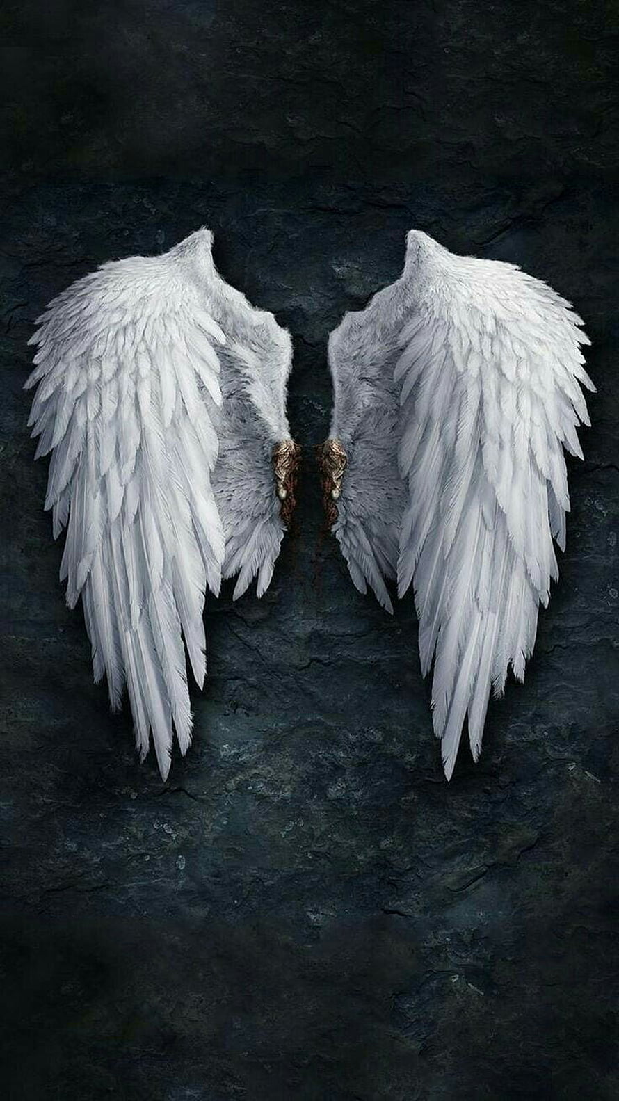 Majestic White Angel Wings on Dark Stone Background HD phone wallpaper