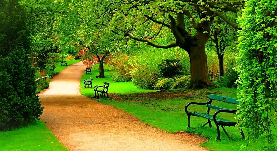Serene Park Pathway With Green Benches And Lush Trees HD wallpaper