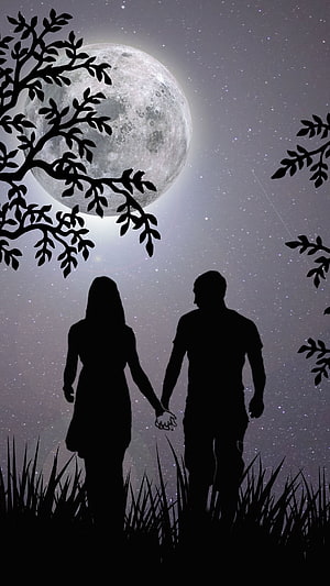 Romantic Couple Silhouette Holding Hands Under Giant Full Moon and Starry Night Sky, Lovers Moon, Couple, Night, Love HD phone wallpaper