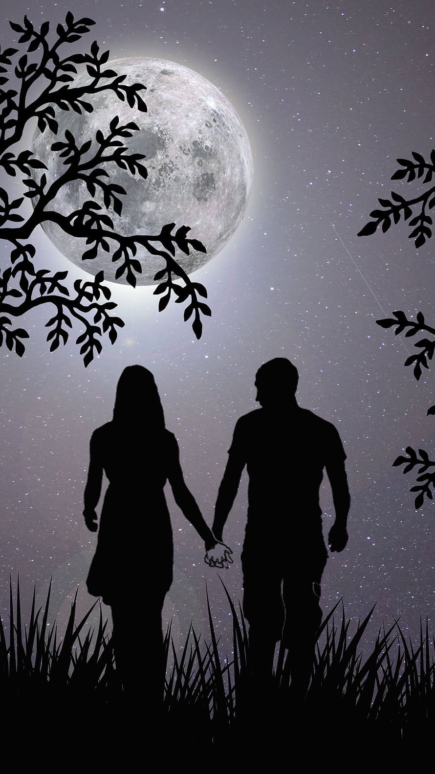 Romantic Couple Silhouette Holding Hands Under Giant Full Moon and Starry Night Sky, Lovers Moon, Couple, Night, Love HD phone wallpaper