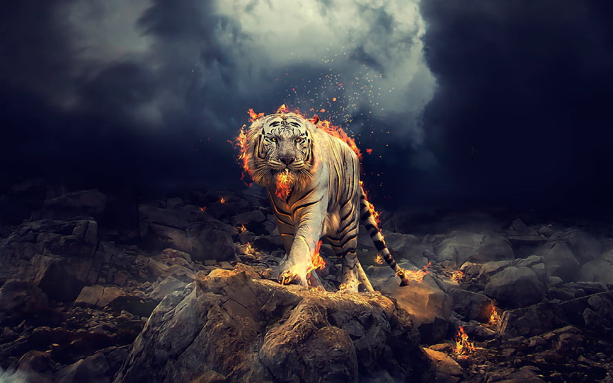 Fierce White Tiger Enveloped in Flames on Rocky Terrain Under Stormy Skies HD wallpaper
