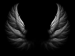 Dark Angel Wings Wallpaper - Black and White Feathers HD wallpaper