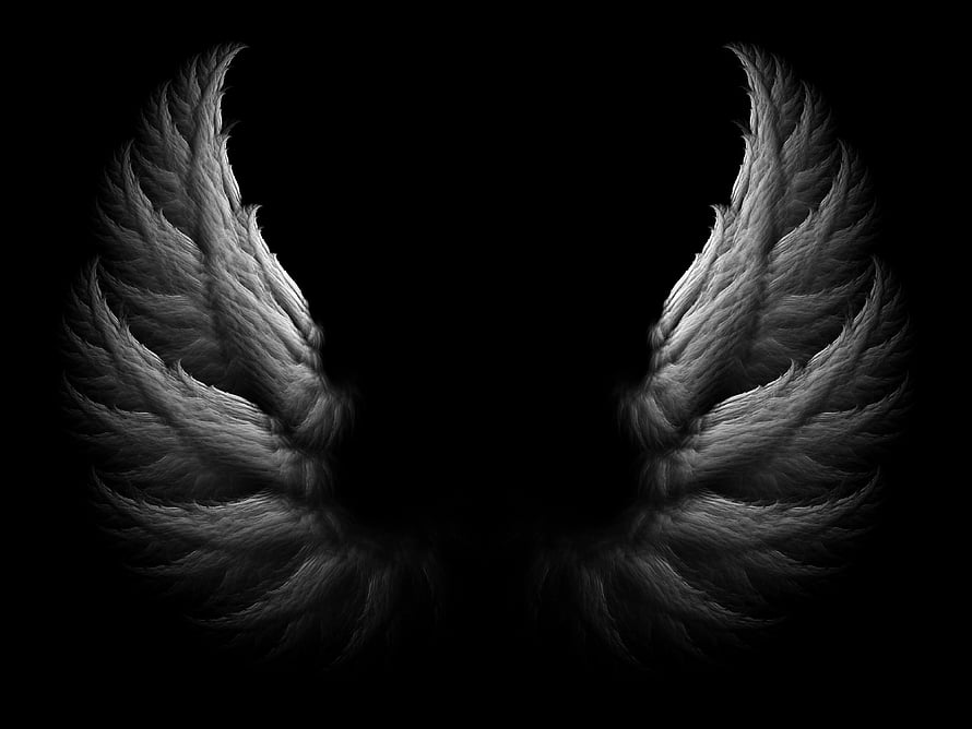 Dark Angel Wings Wallpaper - Black and White Feathers HD wallpaper
