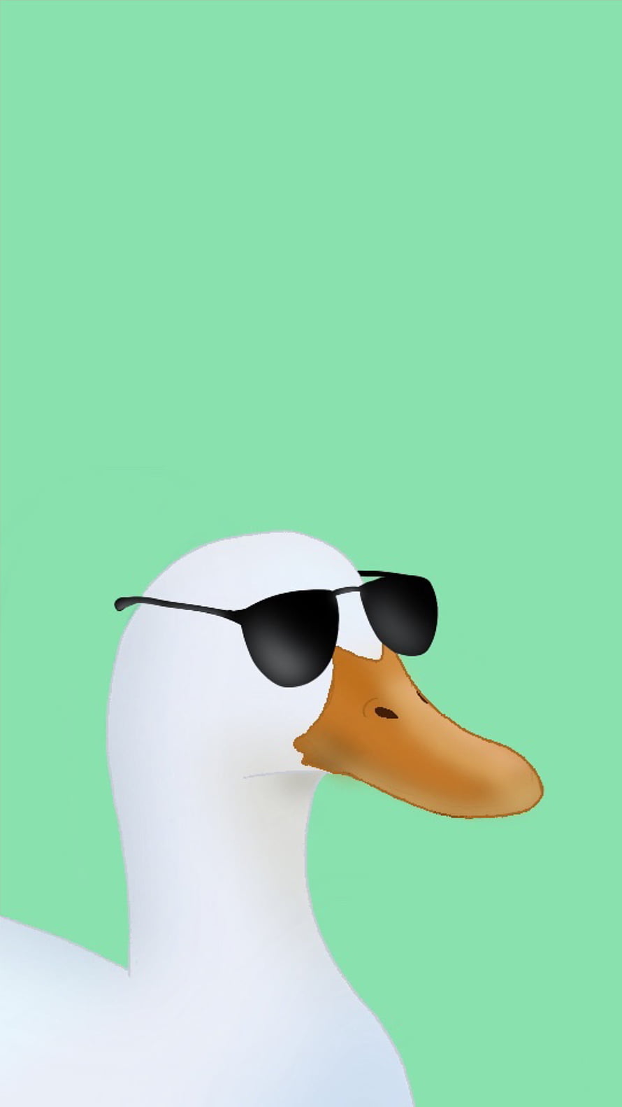 Cool White Duck Wearing Black Sunglasses on Mint Green Background HD phone wallpaper