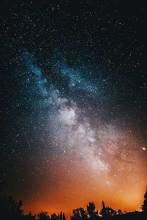 Milky Way Galaxy Arching Over Silhouetted Tree Line With Meteor Trails and Warm Horizon Glow HD phone wallpaper