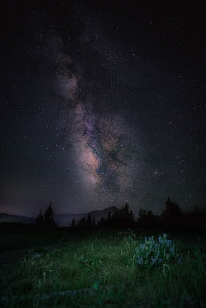 Milky Way Galaxy Arching Over Mountain Silhouettes and Alpine Meadow at Night HD phone wallpaper