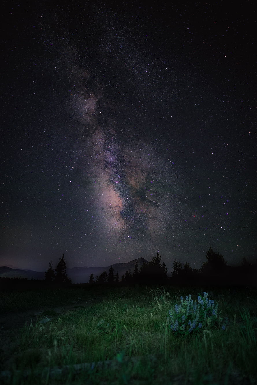 Milky Way Galaxy Arching Over Mountain Silhouettes and Alpine Meadow at Night HD phone wallpaper