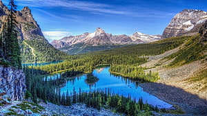 Maligne Lake and Spirit Island in Jasper National Park, Alberta, Canada HD wallpaper
