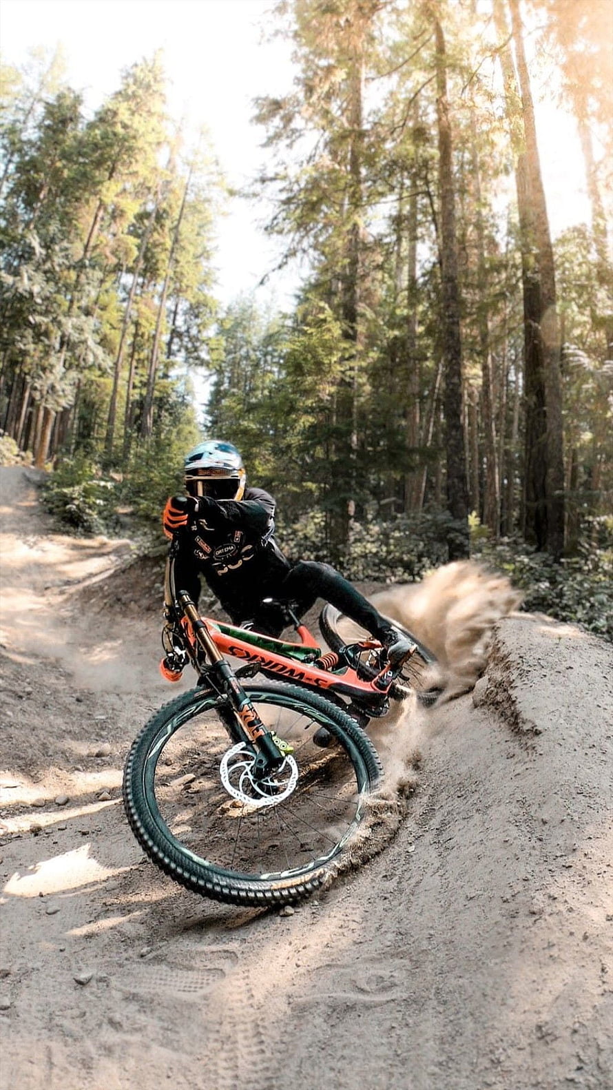 Fabio Wibmer Carving a Corner on a Downhill Mountain Bike Through a Forest Trail HD phone wallpaper