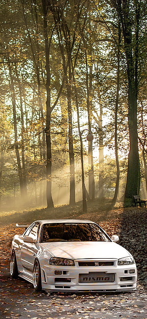 White Nissan Skyline GT-R R34 parked in a misty autumn forest with golden sunlight HD phone wallpaper