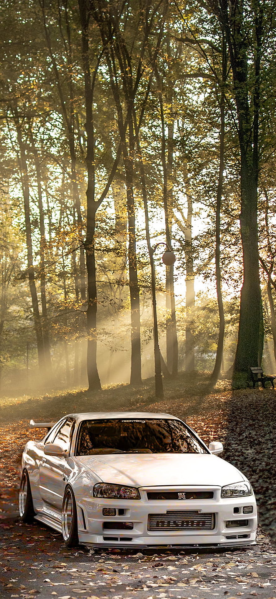 White Nissan Skyline GT-R R34 parked in a misty autumn forest with golden sunlight HD phone wallpaper