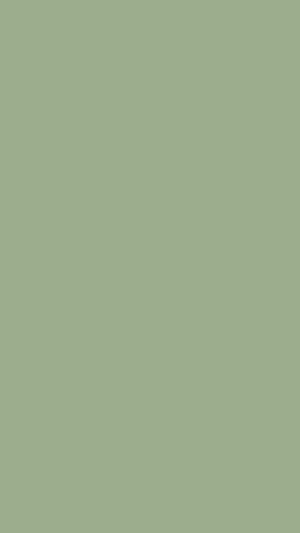 Sage Green Minimalist Solid Color Aesthetic Wallpaper HD phone wallpaper